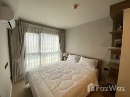 ขายอพาร์ทเม้นท์ 1 ห้องนอน ในโครงการ เสปซ เชิงทะเล คอนโดมิเนียม, เชิงทะเล