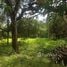  Terreno for sale in Camocim Ceará, Camocim, Camocim, Ceará, Brasil