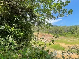 ขายที่ดิน ใน ฉลอง, ภูเก็ต, ฉลอง