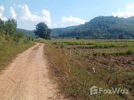 在清莱出售的 土地, Huai Sak, Mueang Chiang Rai, 清莱