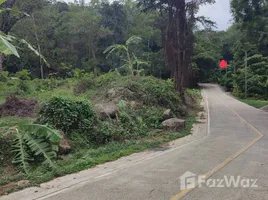 ขายที่ดิน ใน ภูเก็ต, ฉลอง, เมืองภูเก็ต, ภูเก็ต