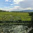  Land for sale in San Sai Luang, Chiang Mai, San Sai Luang