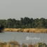  Land for sale in Mueang Samut Sakhon, Samut Sakhon, Phanthai Norasing, Mueang Samut Sakhon