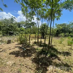 Solar en Puerto Plata, foto 5