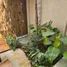 3 Habitación Villa en alquiler en Phuoc My, Da Nang, Phuoc My, Son Tra