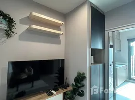 1 Bedroom Apartment for rent at The Parkland Phetkasem Condominium, Bang Khae, Bang Khae