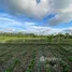  Grundstück zu verkaufen in Praya, Lombok, Praya, Lombok Tengah