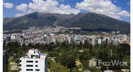 Unidades disponibles en Carolina 504: New Condo for Sale Centrally Located in the Heart of the Quito Business District - Qua
