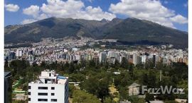 Carolina 504: New Condo for Sale Centrally Located in the Heart of the Quito Business District - Quaで利用可能なユニット