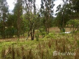  Land for sale in Canar, Solano, Deleg, Canar