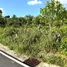  Land for sale in Thep Krasattri, Phuket, Thep Krasattri