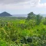  Terrain for sale in Lombok Tengah, West Nusa Tenggara, Praya Barat, Lombok Tengah