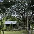 ขายที่ดิน ใน หางดง เชียงใหม่, บ้านปง, หางดง, เชียงใหม่