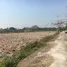  Land for sale in Chiang Mai, Pa Phai, San Sai, Chiang Mai