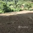  Land for sale in Mae Win, Chiang Mai, Mae Win, Mae Wang, Chiang Mai