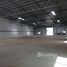  Warehouse for rent in Mueang Nakhon Ratchasima, Nakhon Ratchasima, Nong Rawiang, Mueang Nakhon Ratchasima