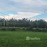  Земельный участок for sale in Phang Tru, Kanchanaburi, Phang Tru, Phanom Thuan, Kanchanaburi