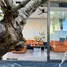 4 Habitación Villa en alquiler en Hoa Quy, Da Nang, Hoa Quy