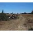  Terreno (Parcela) en venta en Maule, Longavi, Linares, Maule