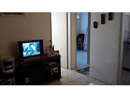 2 Quartos Condomínio para alugar em Pesquisar, São Paulo Balneário Aclimação