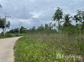 ขายที่ดิน ใน โป่ง, พัทยา, โป่ง, พัทยา, ชลบุรี