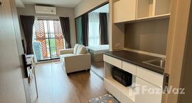 ยูนิตมือสองและให้เช่า