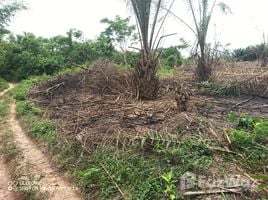  Land for sale in Wasa Amenfi East Western, Wasa Amenfi East, Western, Ghana