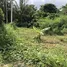  Land for sale in Thalang Phuket, Pa Khlok, Thalang, Phuket