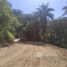  Land for sale in Amazonas, Alvaraes, Amazonas