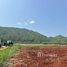 Земельный участок for sale in Nong Nam Daeng, Накхон Ратчасима, Nong Nam Daeng, Pak Chong, Накхон Ратчасима
