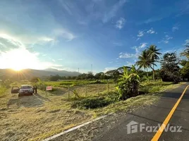 ขายที่ดิน ใน แม่แรม, เชียงใหม่, แม่แรม, แม่ริม