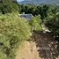  Land for sale in Bo Phut, Surat Thani, Bo Phut
