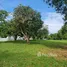 3 Bedroom House for sale in Huai Sak, Chiang Rai, Huai Sak, Mueang Chiang Rai, Chiang Rai
