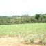  Land for sale at Centro, Itanhaem