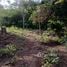  Terreno (Parcela) en venta en Costa Rica, Santa Cruz, Guanacaste, Costa Rica