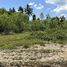  Land for sale in Mueang Narathiwat, Narathiwat, Khok Khian, Mueang Narathiwat