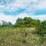  Land for sale in Suphan Buri, Hua Na, Doem Bang Nang Buat, Suphan Buri