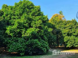  Terrain for sale in Chanthaburi, Kwian Hak, Khlung, Chanthaburi