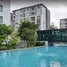 Studio Apartment for rent at D Condo Ping, Fa Ham, Mueang Chiang Mai, Chiang Mai
