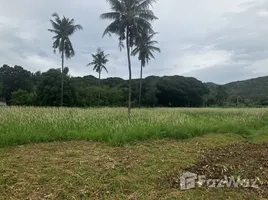  Grundstück zu verkaufen in Pran Buri, Hua Hin, Pran Buri, Pran Buri, Prachuap Khiri Khan, Thailand