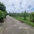  Land for sale in Choeng Thale, Phuket, Choeng Thale, Thalang