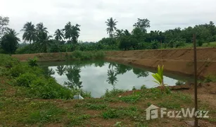 N/A Grundstück zu verkaufen in Wang Chomphu, Phetchabun 