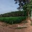  Land for sale in Thailand, Phana Nikhom, Nikhom Phatthana, Rayong, Thailand