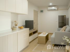 ขายคอนโด 2 ห้องนอน ในโครงการ พิงค์ ไลฟ์ คอนโด, ช้างเผือก, เมืองเชียงใหม่, เชียงใหม่, ไทย