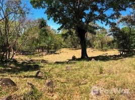  Land for sale in David, Chiriqui, Las Lomas, David