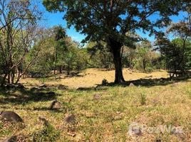  Terreno (Parcela) en venta en Chiriquí, Las Lomas, David, Chiriquí