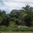  Land for sale in Costa Rica, San Carlos, Alajuela, Costa Rica