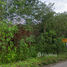 Land for sale in Chumphon, Hat Phan Krai, Mueang Chumphon, Chumphon