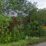  Terrain for sale in Chumphon, Hat Phan Krai, Mueang Chumphon, Chumphon