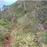  Land for sale in the Dominican Republic, Santa Barbara De Samana, Samana, Dominican Republic